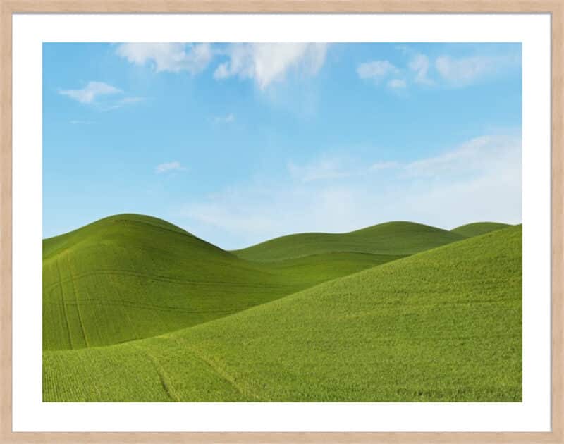 Farmscape Photo III - 5cm White Border Box Natural