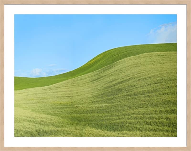 Farmscape Photo IV - 5cm White Border Box Natural