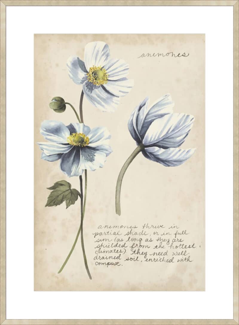 Garden Studies III - 10cm Mount Board Sm. Box Champagne