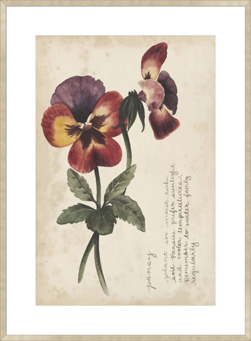 Garden Studies II - 10cm Mount Board Sm. Box Champagne