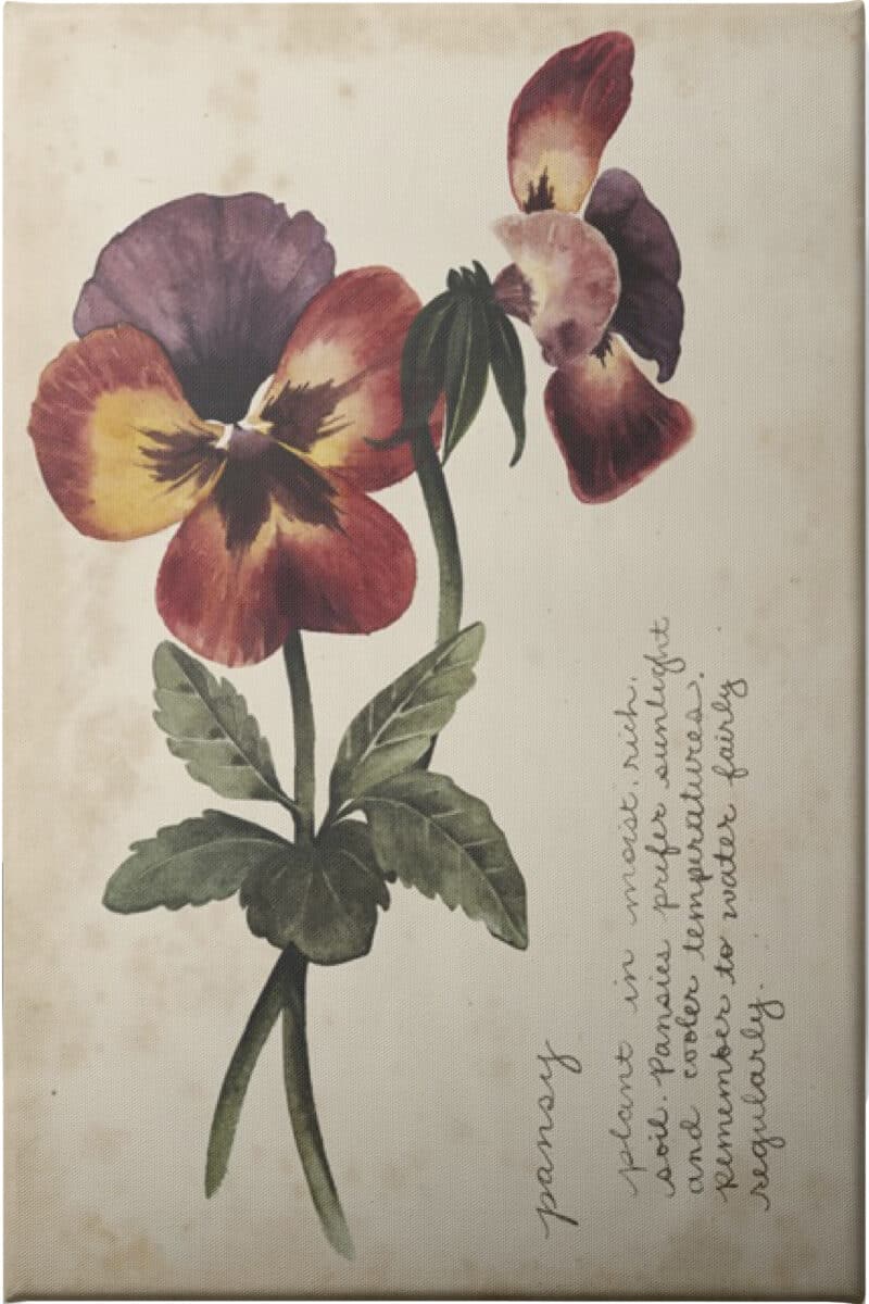 Garden Studies II - Unframed Canvas Unframed Canvas