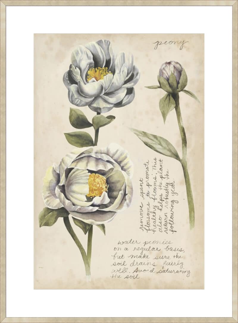 Garden Studies IV - 10cm Mount Board Sm. Box Champagne