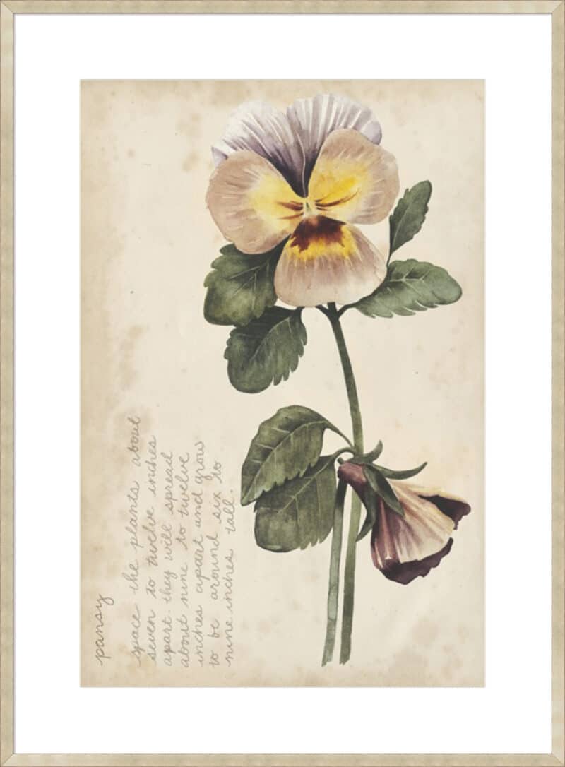 Garden Studies I - 10cm Mount Board Sm. Box Champagne