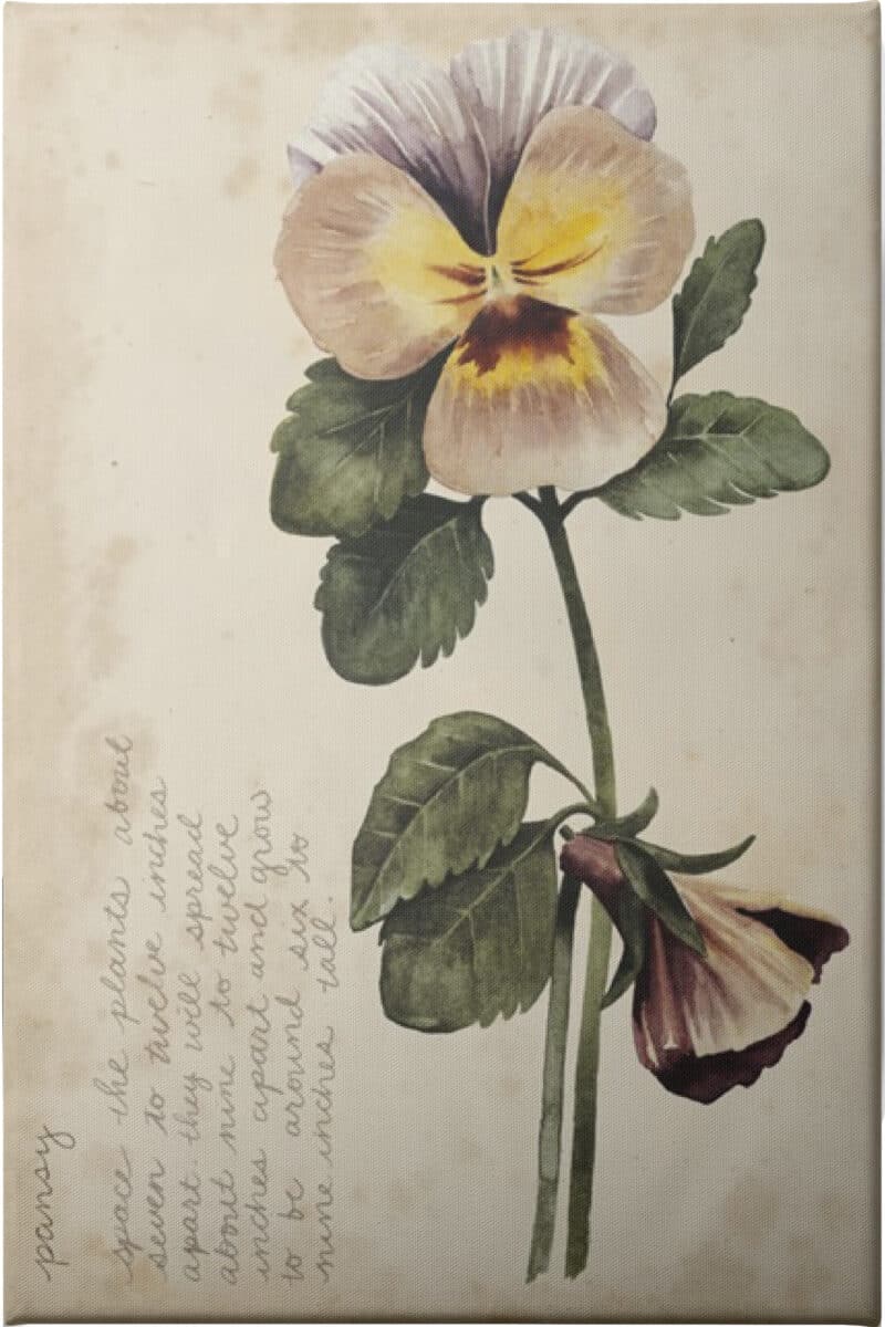 Garden Studies I - Unframed Canvas Unframed Canvas