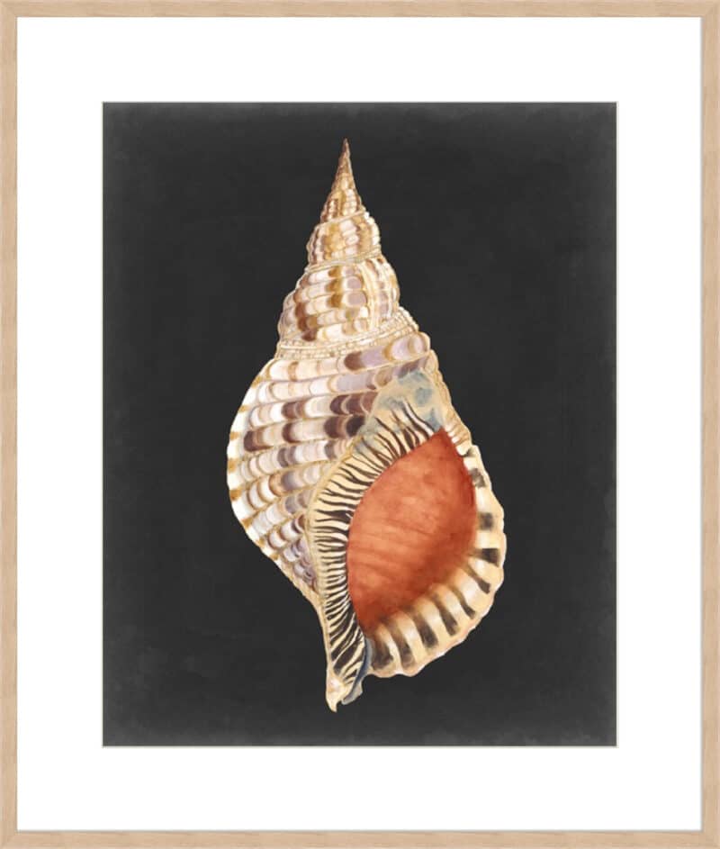 Graphic Grand Triton - 10cm Mount Board Box Natural