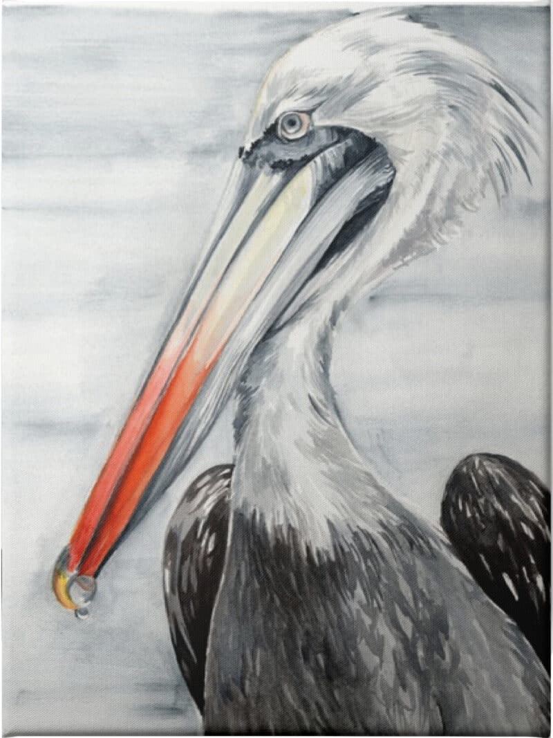 Grey Pelican II - Unframed Canvas Unframed Canvas