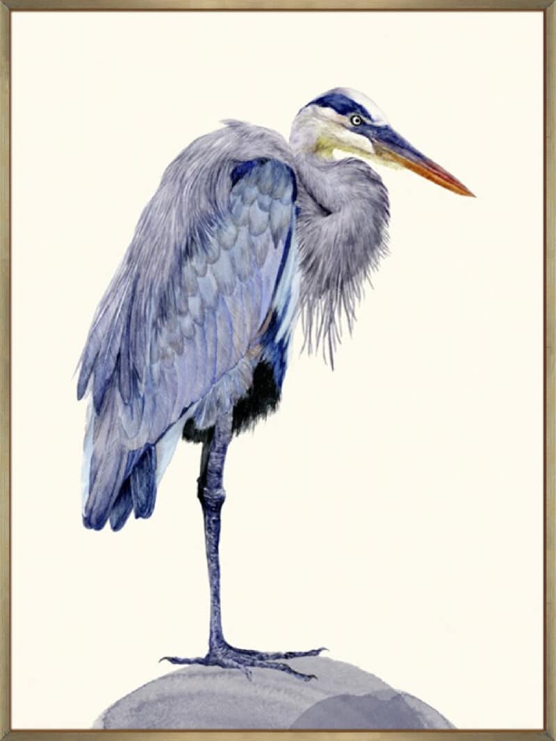 Heron Study II - Canvas Gallery Champagne