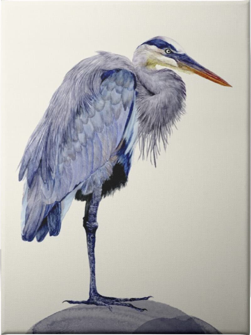 Heron Study II - Unframed Canvas Unframed Canvas