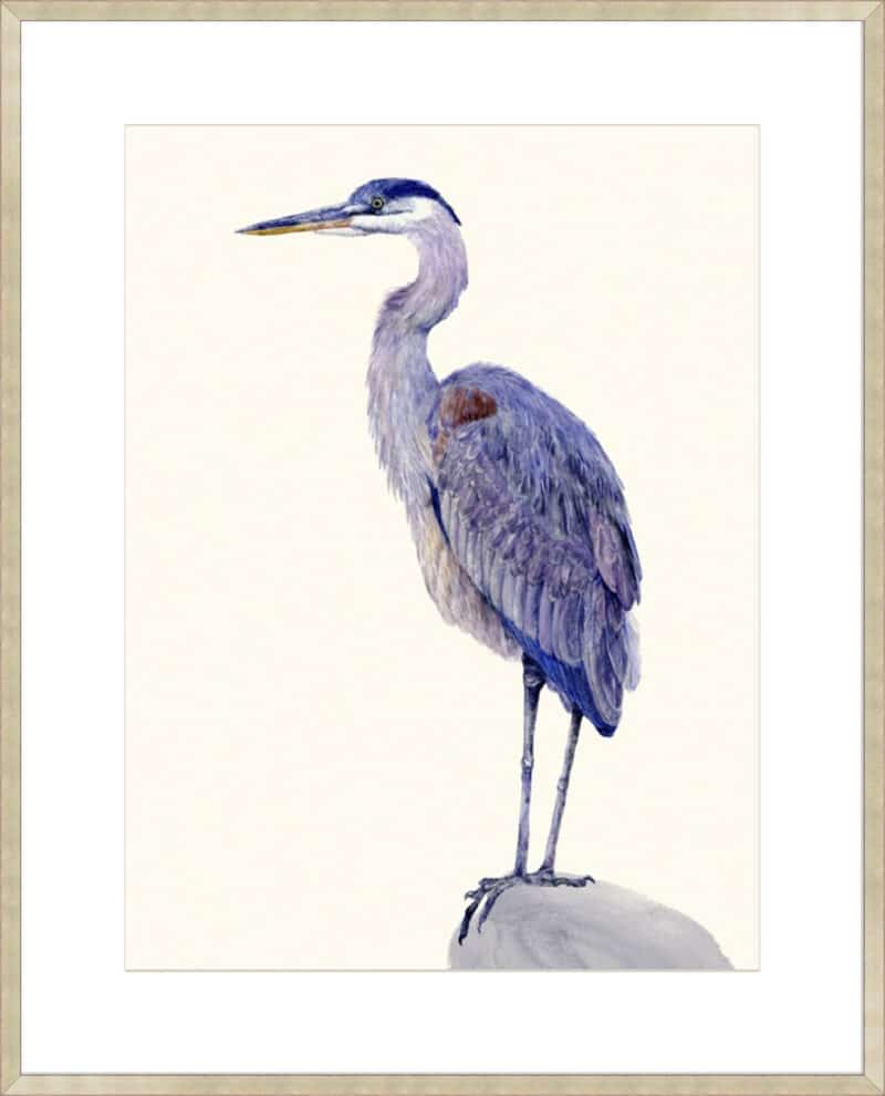 Heron Study I - 10cm Mount Board Sm. Box Champagne
