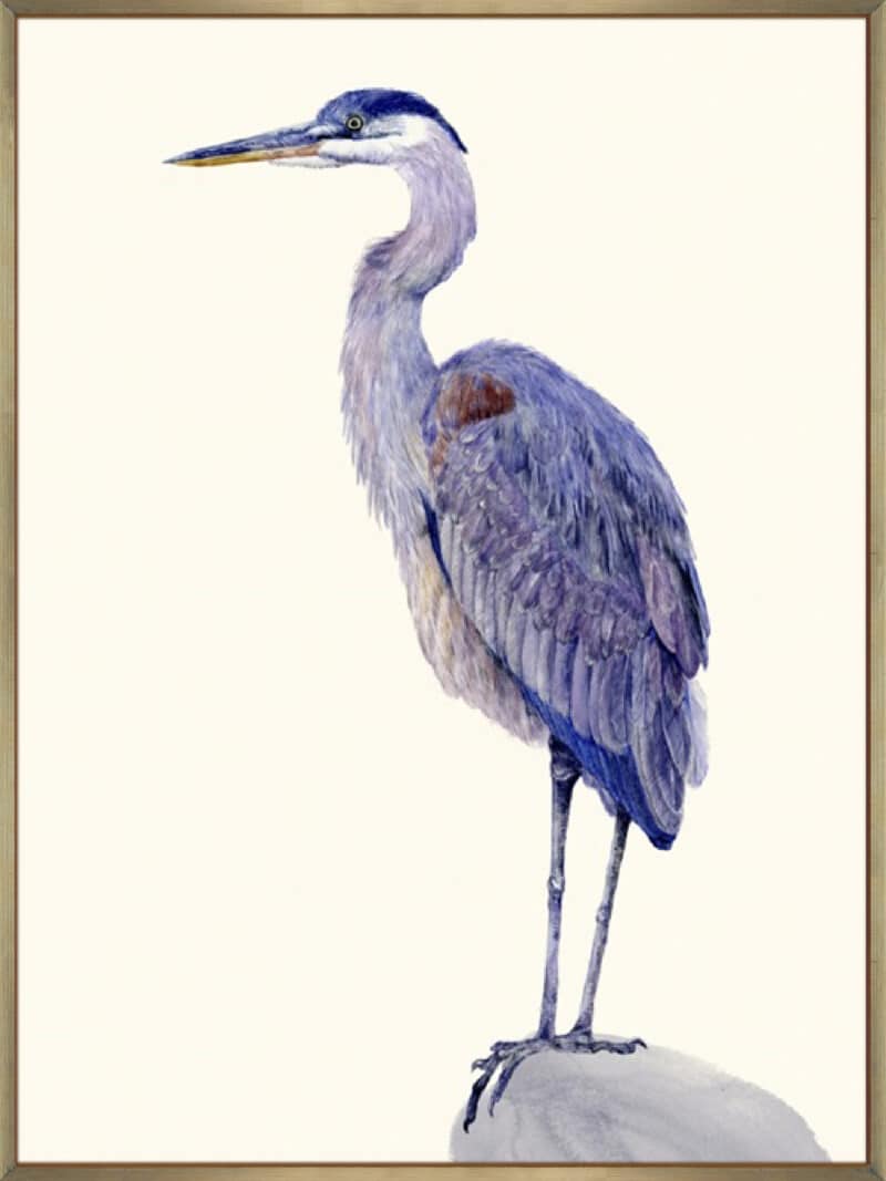 Heron Study I - Canvas Gallery Champagne