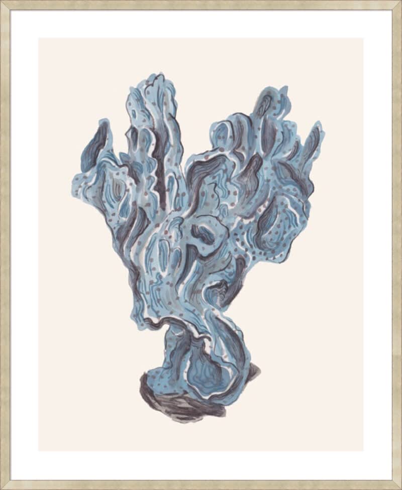 Indigo Reef II - 5cm White Border Sm. Box Champagne