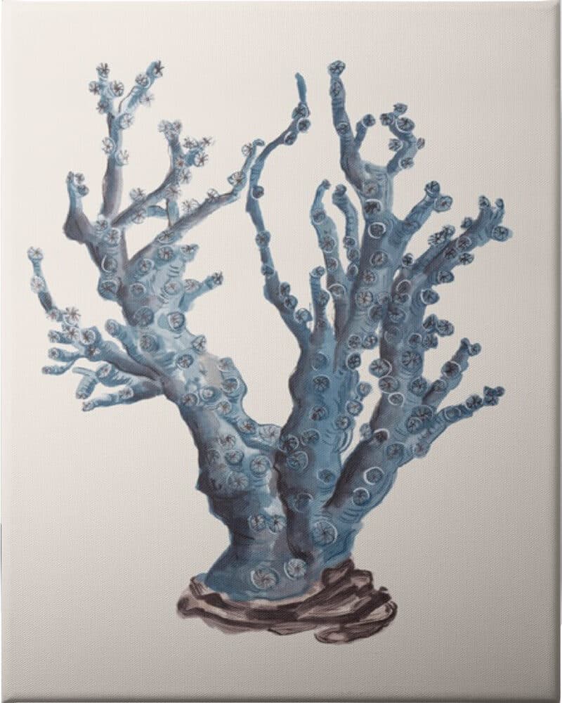 Indigo Reef I - Unframed Canvas Unframed Canvas