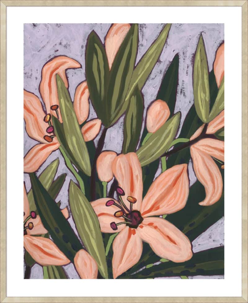 Island Lily II - 5cm White Border Sm. Box Champagne