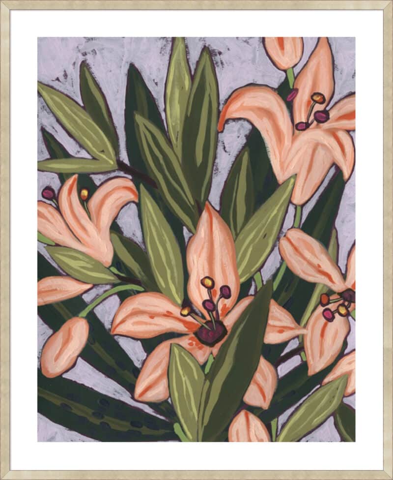 Island Lily I - 5cm White Border Sm. Box Champagne