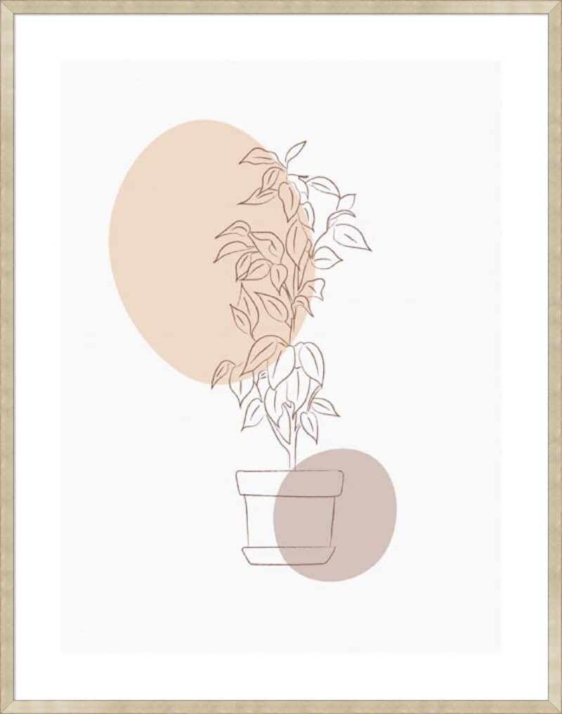 Neutral Lemon Tree - 5cm White Border Sm. Box Champagne