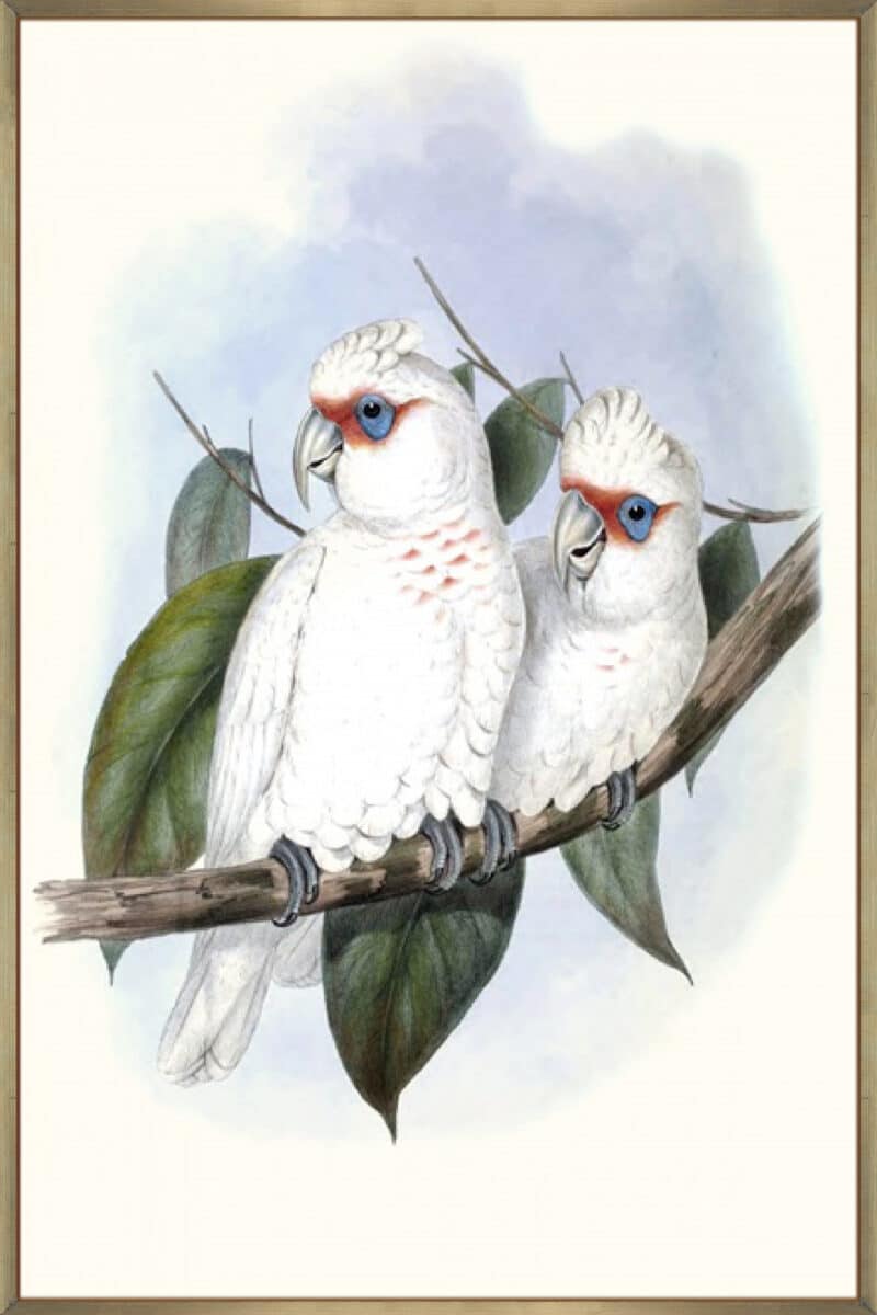 Pastel Parrots IV - Canvas Gallery Champagne