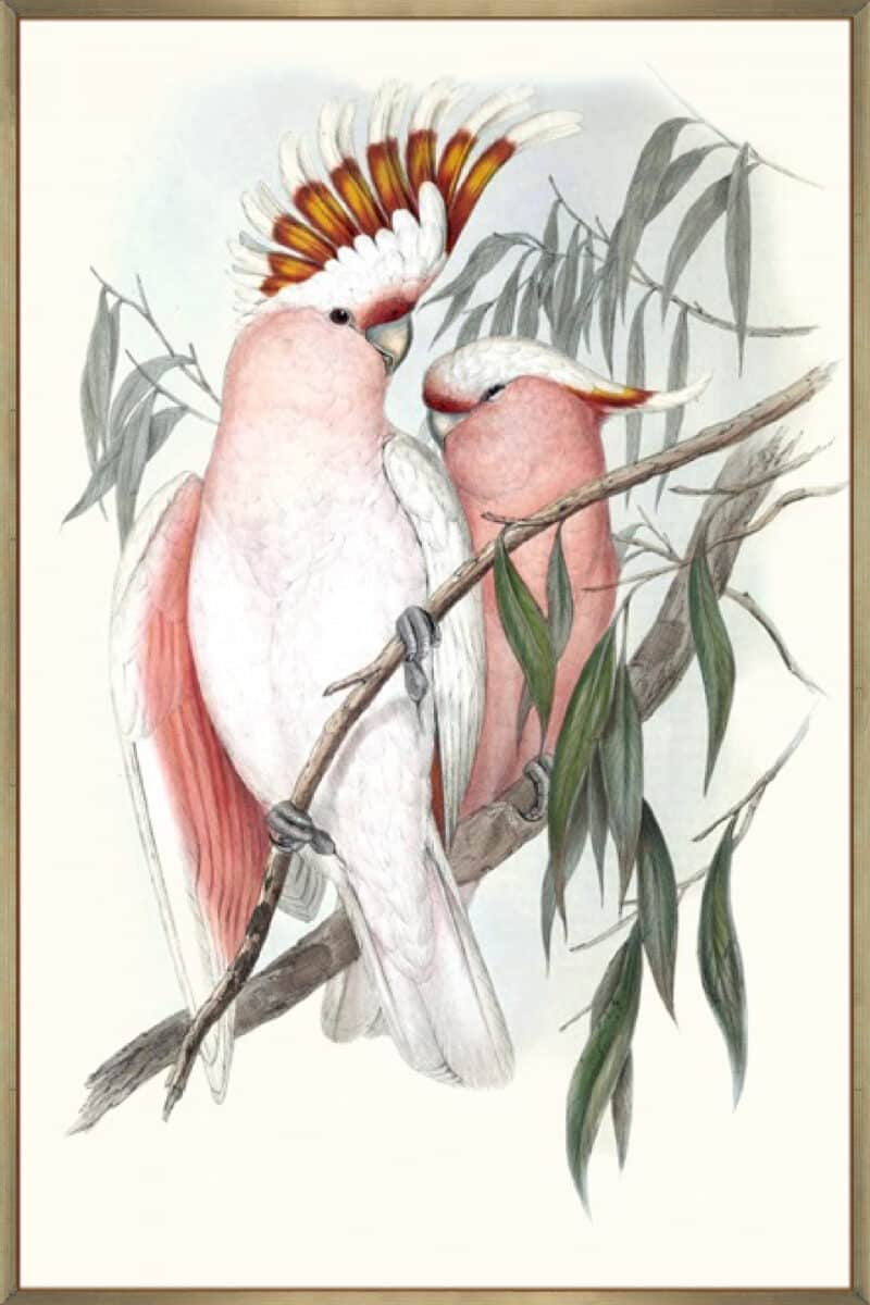 Pastel Parrots I - Canvas Gallery Champagne