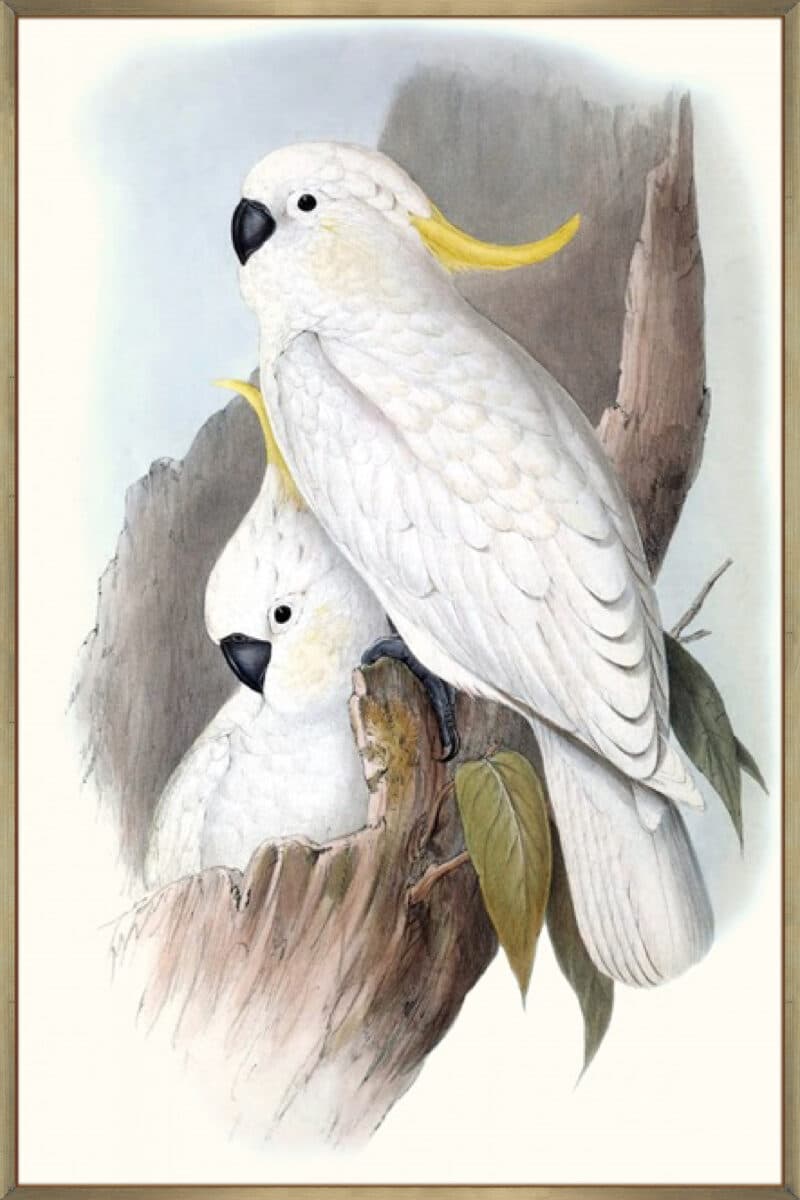 Pastel Parrots V - Canvas Gallery Champagne