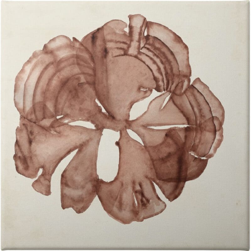 Seaweed Specimens XIV - Unframed Canvas Unframed Canvas