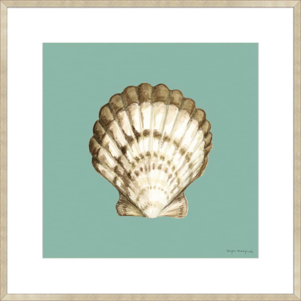 Shell on Aqua III - 10cm Mount Board - La Grolla
