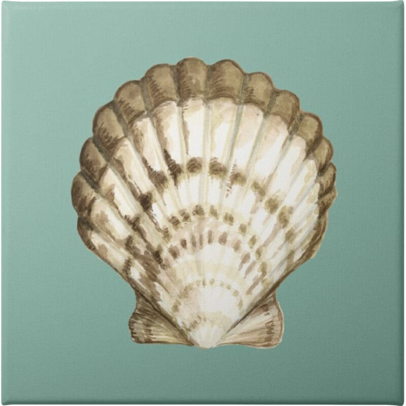 Shell on Aqua III - Unframed Canvas Unframed Canvas