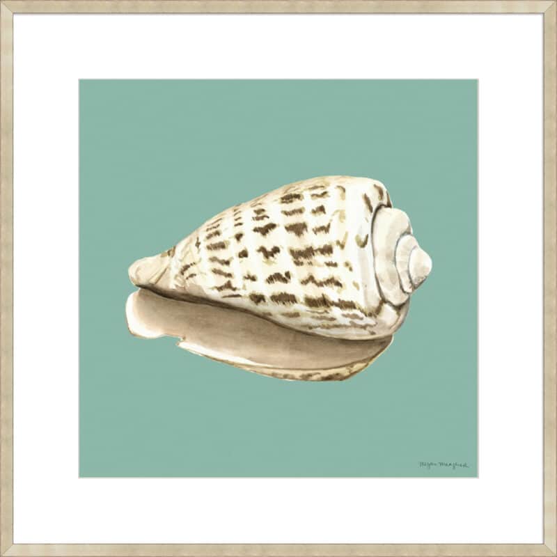 Shell on Aqua II - 10cm Mount Board Sm. Box Champagne