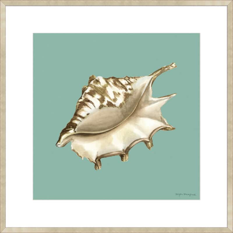 Shell on Aqua IV - 10cm Mount Board Sm. Box Champagne