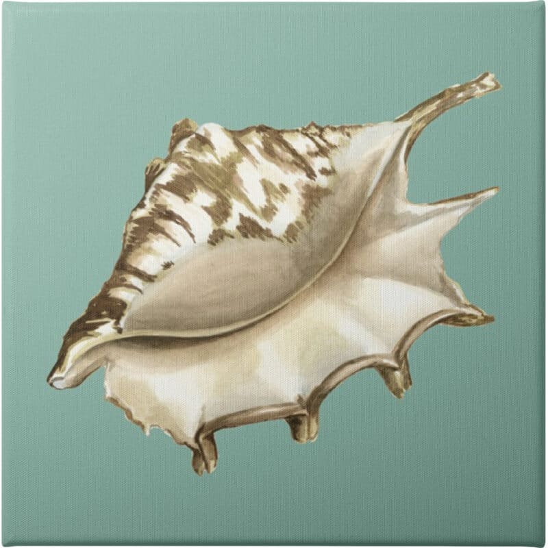 Shell on Aqua IV - Unframed Canvas Unframed Canvas