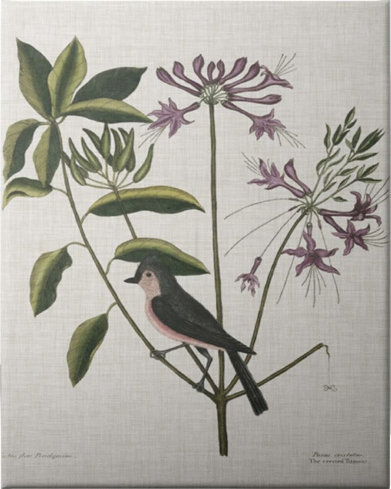 Studies in Nature I - Unframed Canvas Unframed Canvas