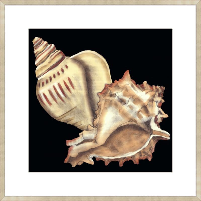 Tandem Shells I - 10cm Mount Board Sm. Box Champagne