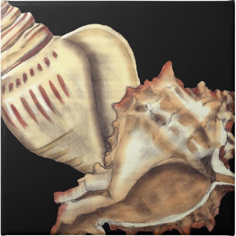 Tandem Shells I - Unframed Canvas Unframed Canvas