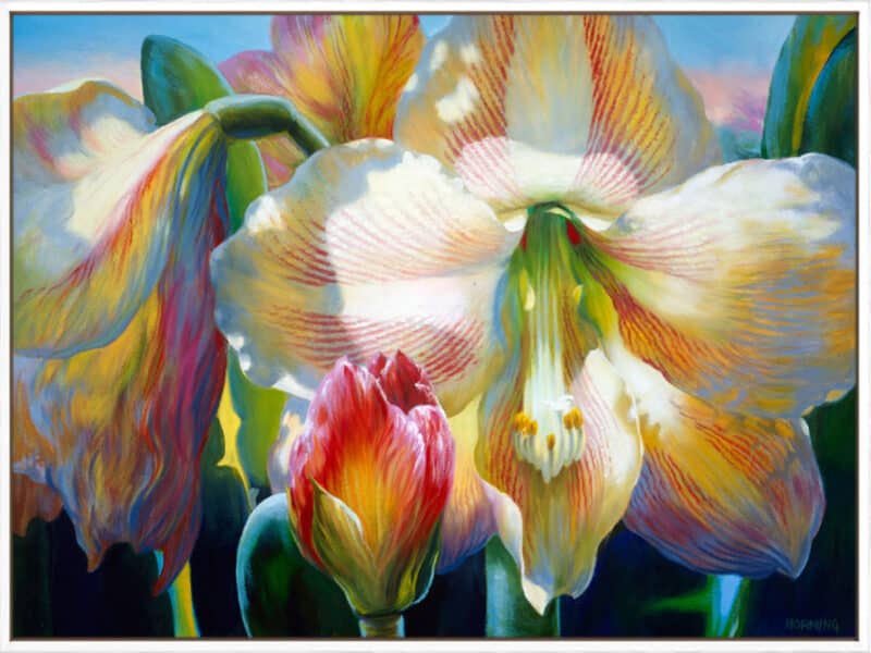 Amarylis - Canvas Gallery White