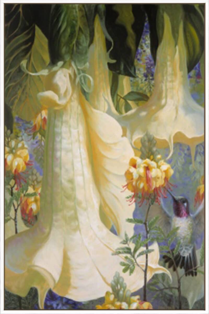 Anna's Arbor - Canvas Gallery White