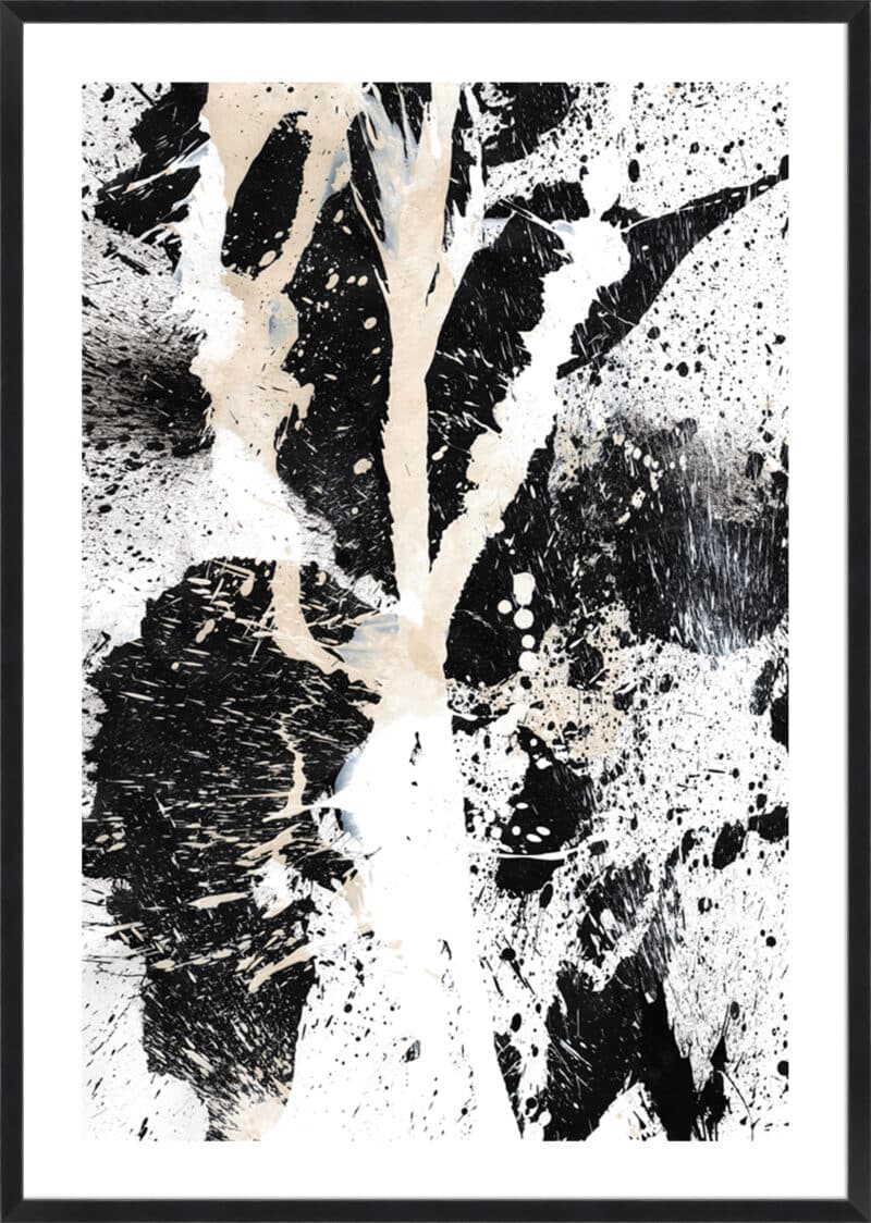 Bone 14 - 5cm White Border Box Black