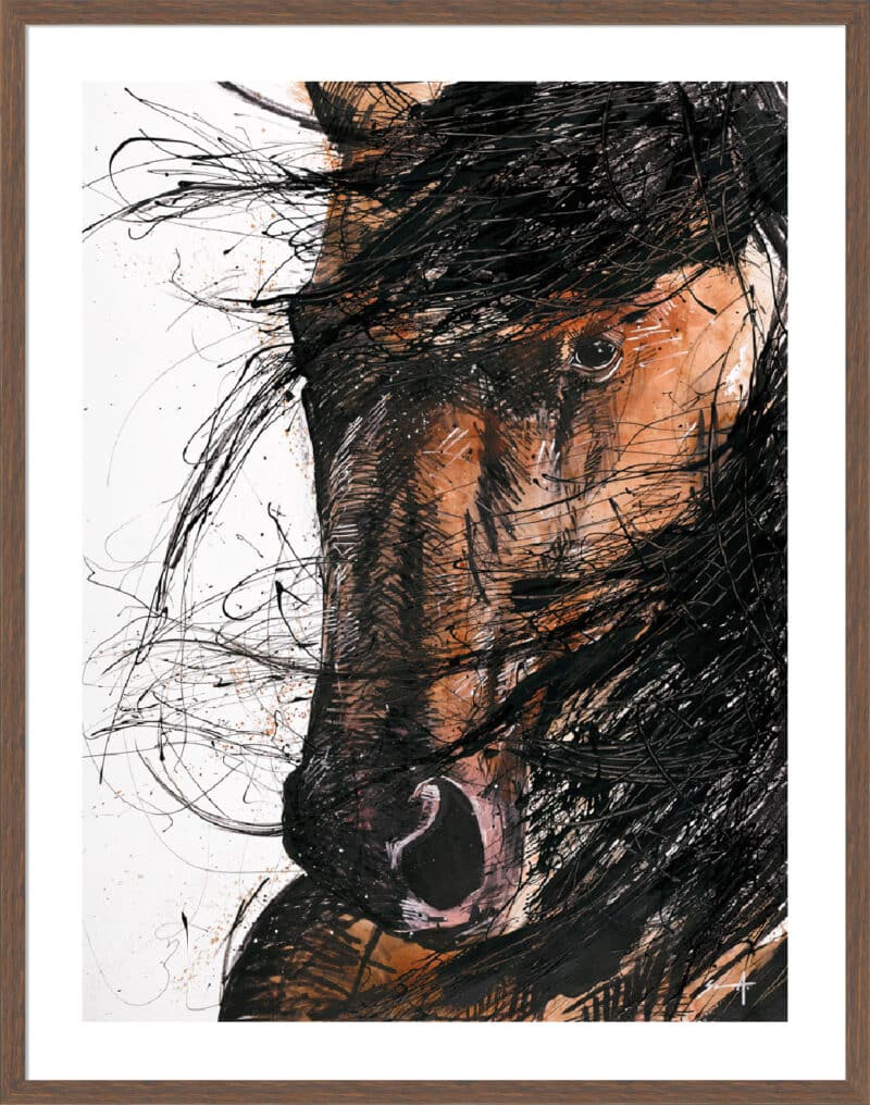 Brown Horse - 5cm White Border Box Walnut