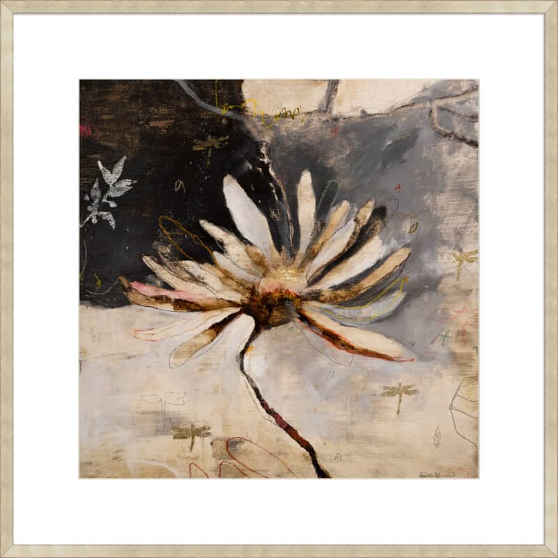 Drangon Fly II - 10cm Mount Board Sm. Box Champagne