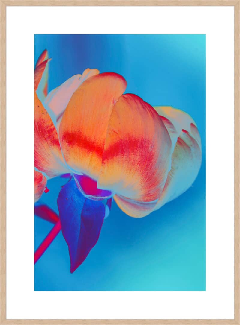 Feeling Oriental - 10cm Mount Board Box Natural