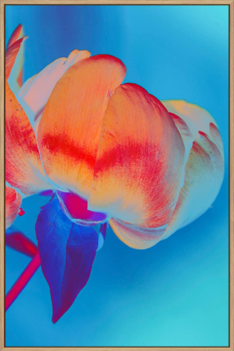 Feeling Oriental - Canvas Gallery Natural