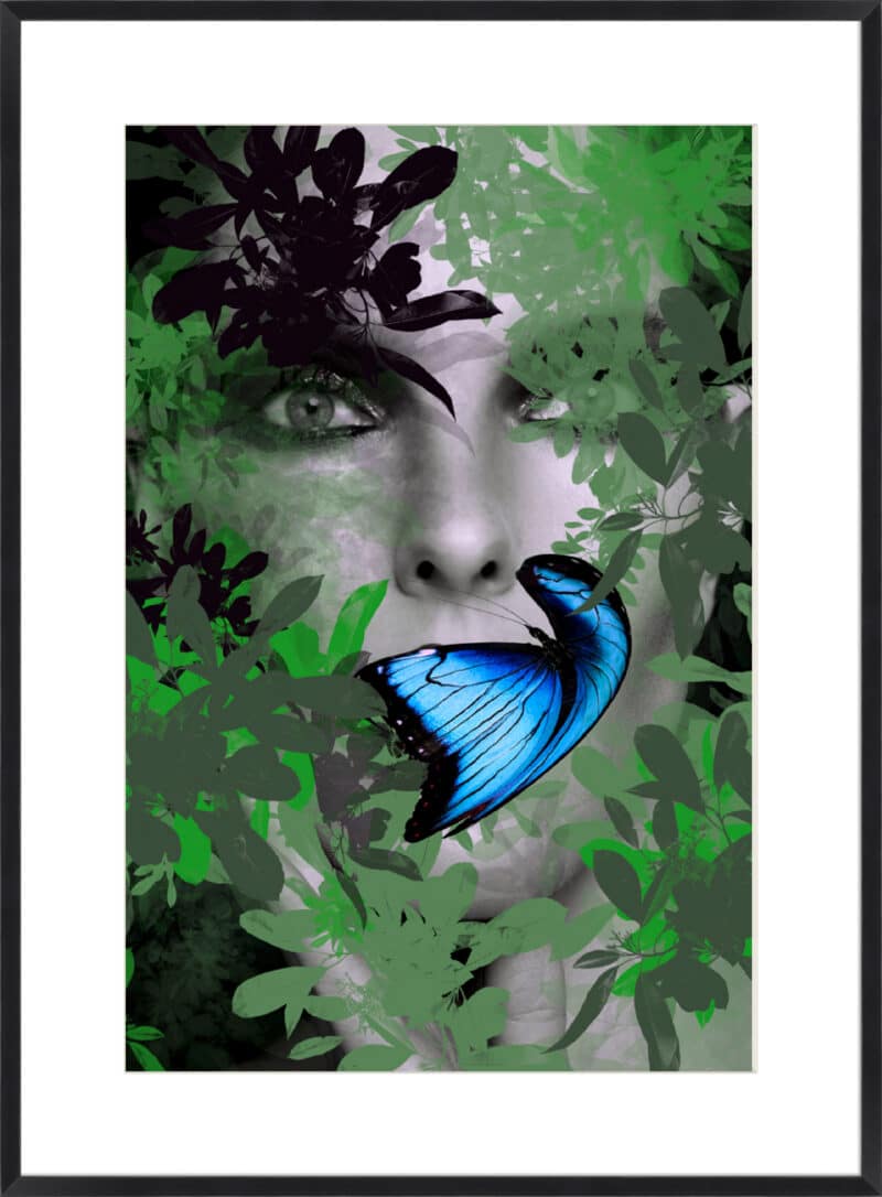 Fransiska Butterfly - 10cm Mount Board Box Black