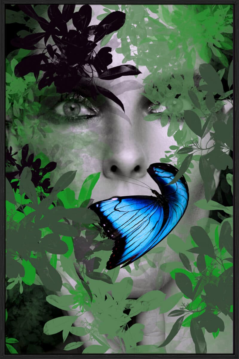 Fransiska Butterfly - Canvas Gallery Black