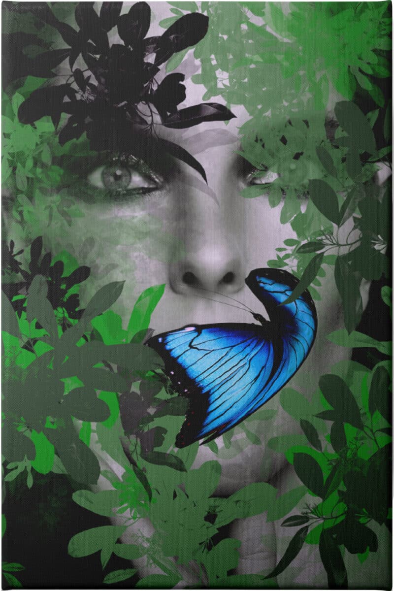 Fransiska Butterfly - Unframed Canvas Unframed Canvas