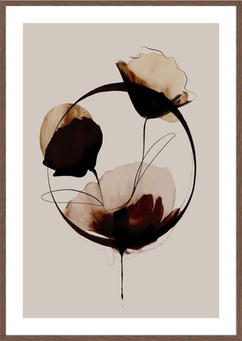 Halo Flowers No 2 - 5cm White Border Box Walnut