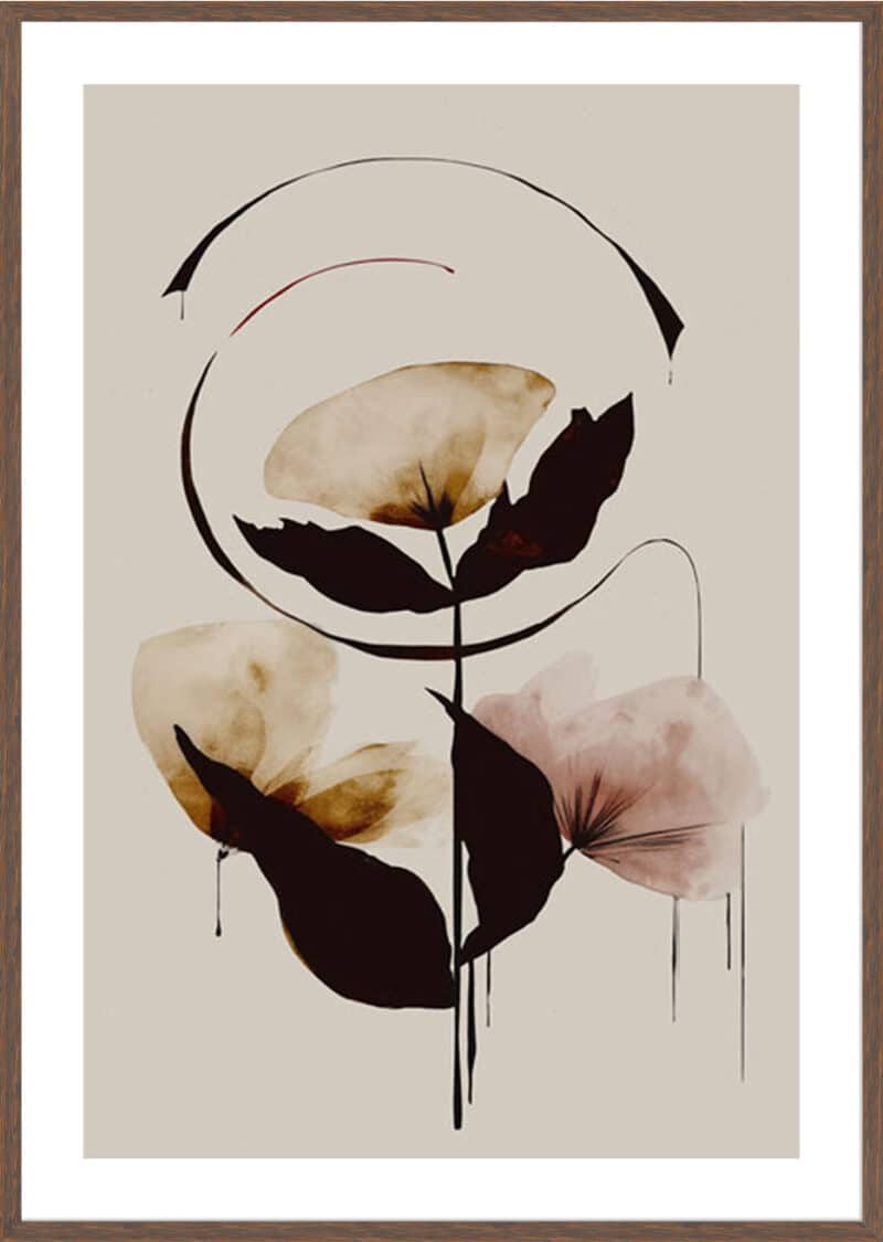 Halo Flowers No 3 - 5cm White Border Box Walnut