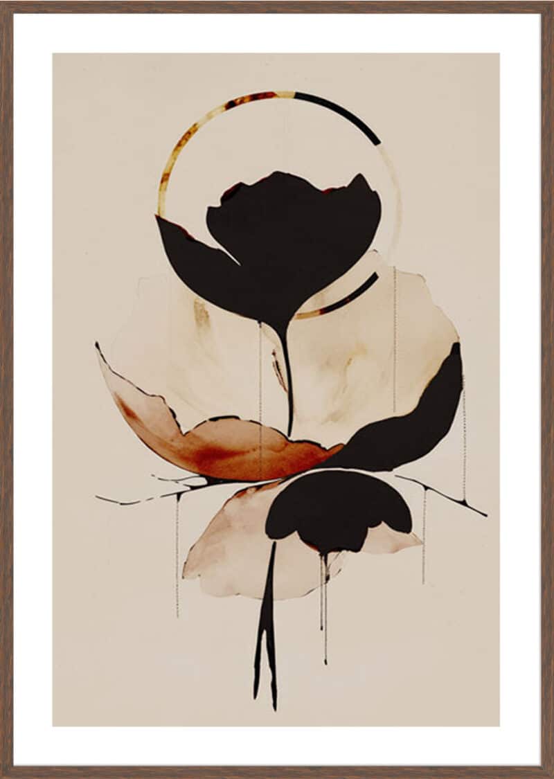 Halo Flowers No 5 - 5cm White Border Box Walnut