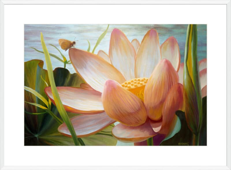 Lotus Landing - 10cm Mount Board Box White