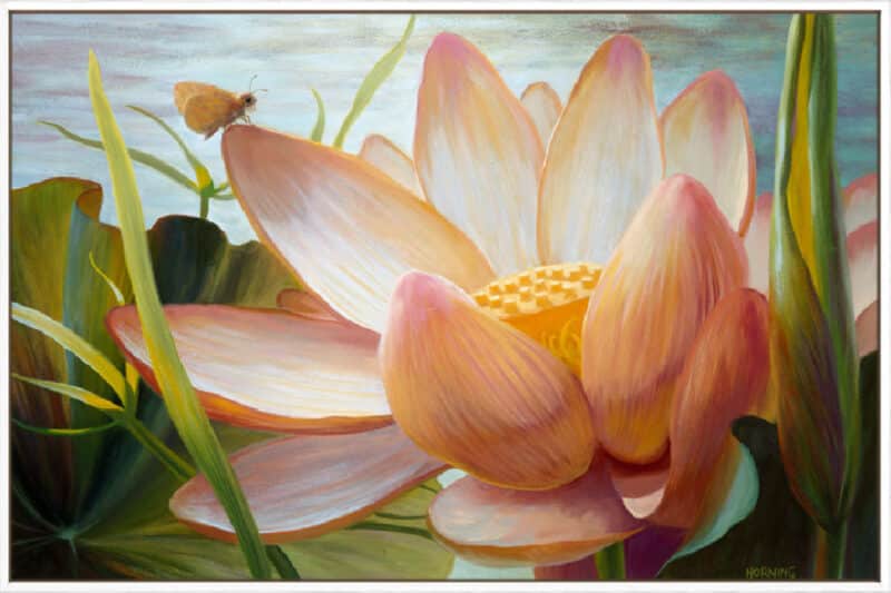 Lotus Landing - Canvas Gallery White