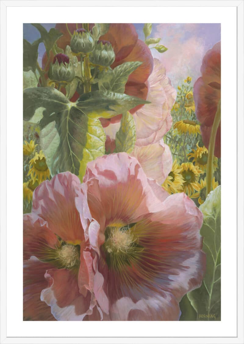 Mid-summer Magic - 5cm White Border Box White