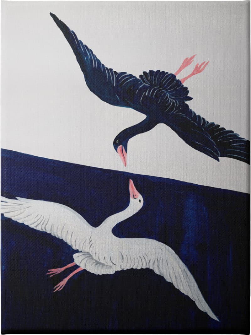 Mirrored Swan II - Unframed Canvas Unframed Canvas