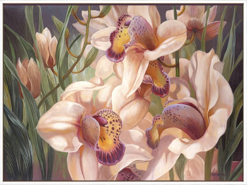Our Serene Cymbidium - Canvas Gallery White