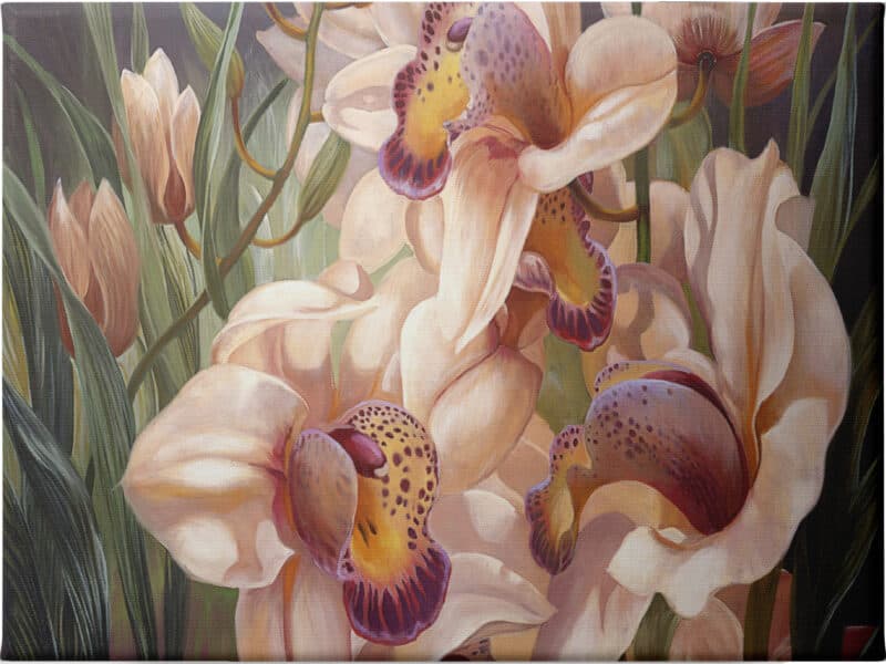 Our Serene Cymbidium - Unframed Canvas Unframed Canvas